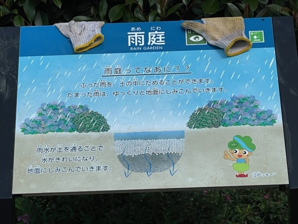 雨庭（あめにわ）って知ってる？サムネイル