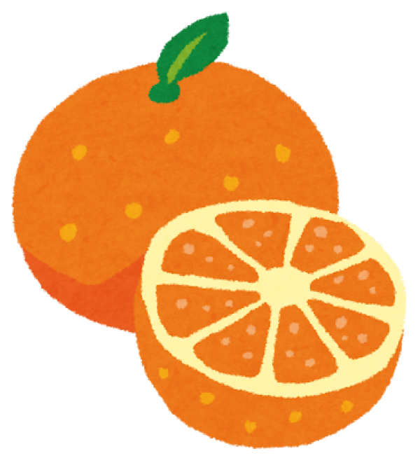 みかんの季節到来！美味しいみかんの選び方🍊サムネイル