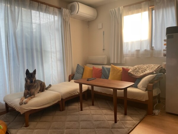 高さの変えられるこたつサムネイル