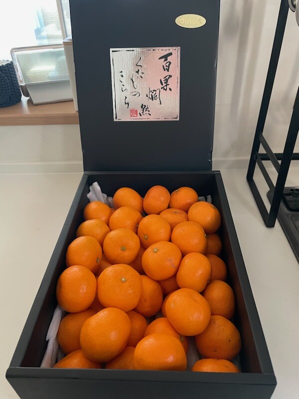 みかんの保存方法🍊サムネイル