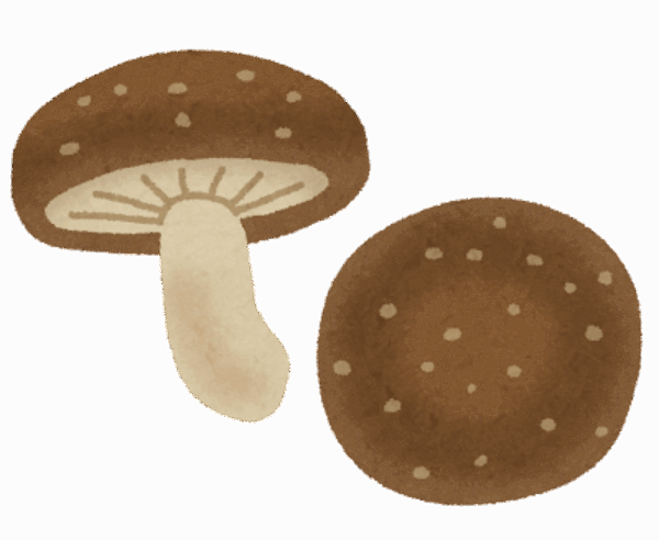 きのこの種類とそれぞれの効果🍄サムネイル