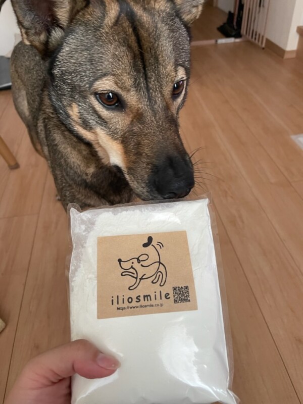 犬用パンケーキミックス🎂サムネイル