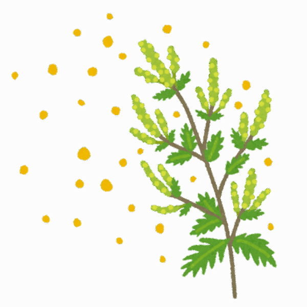 秋の花粉症😵サムネイル
