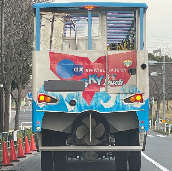 SKY Duckって知ってる🦆？サムネイル