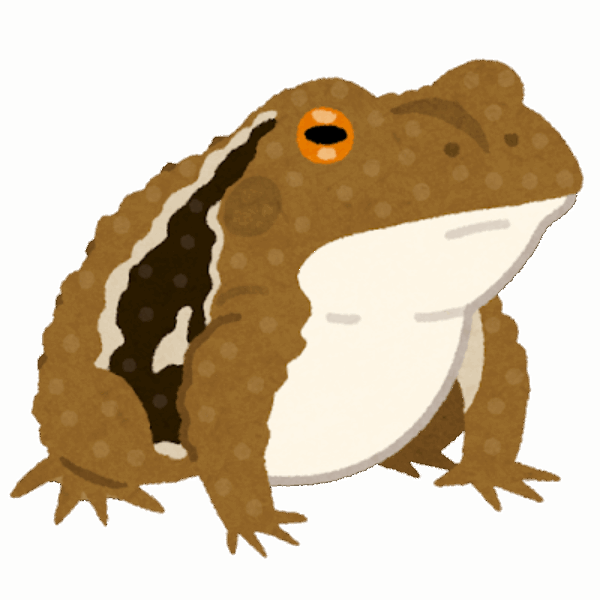 お散歩コースで見つけた生き物🐸サムネイル