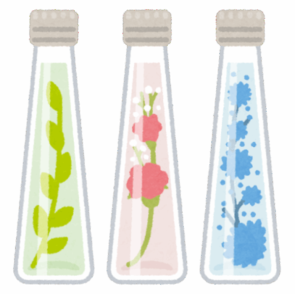 ドライフラワー飾ると良い場所💐サムネイル