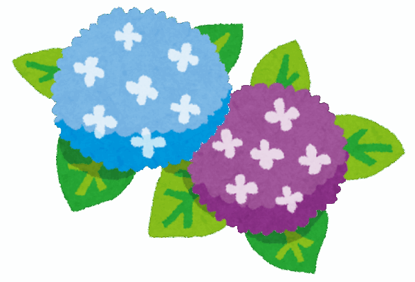 アジサイの色はどうして変わるの？サムネイル