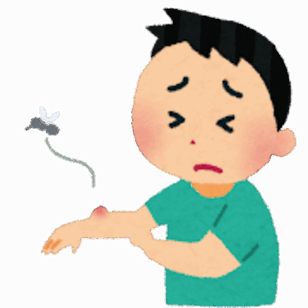 蚊が増えたきがしませんか🦟？サムネイル