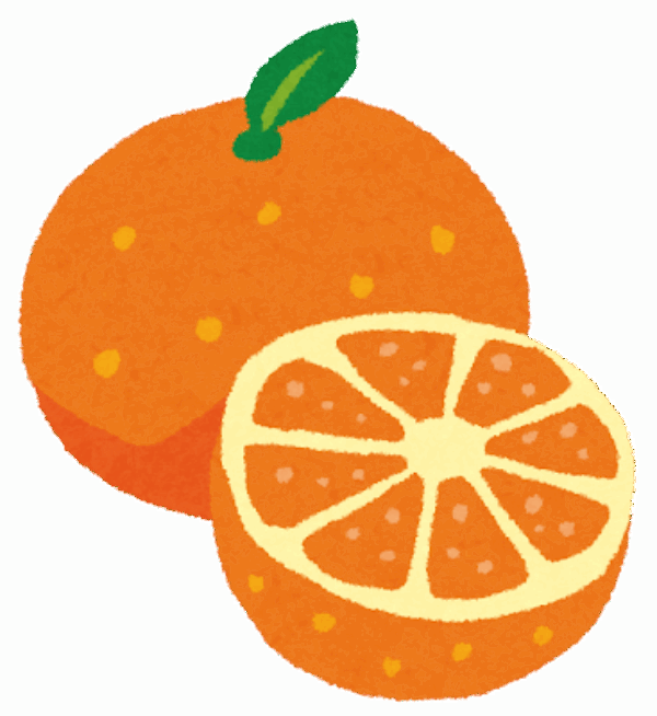 みかんの季節到来！美味しいみかんの選び方🍊サムネイル