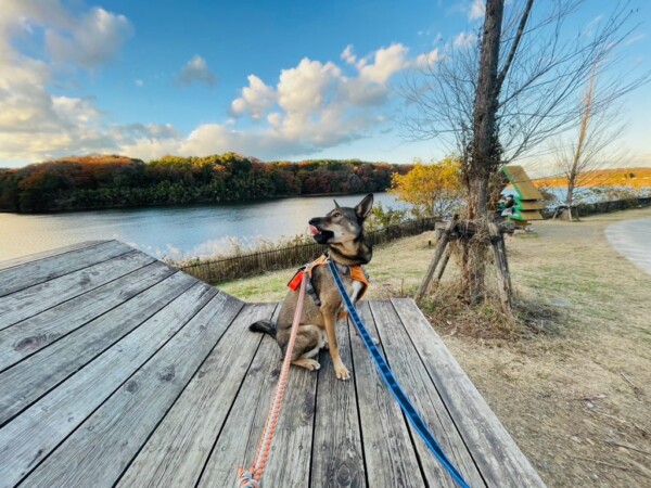 ムーミンバレーパークに行ってきました🐕サムネイル