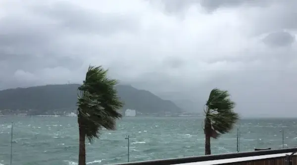 陸屋根は台風に強い？弱い？他の屋根との違いと防水対策を徹底解説サムネイル