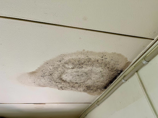 雨漏り対策の基本|修理だけでなく予防メンテナンスを考えよう