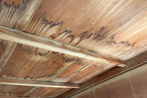 屋根修理が必要になるサイン